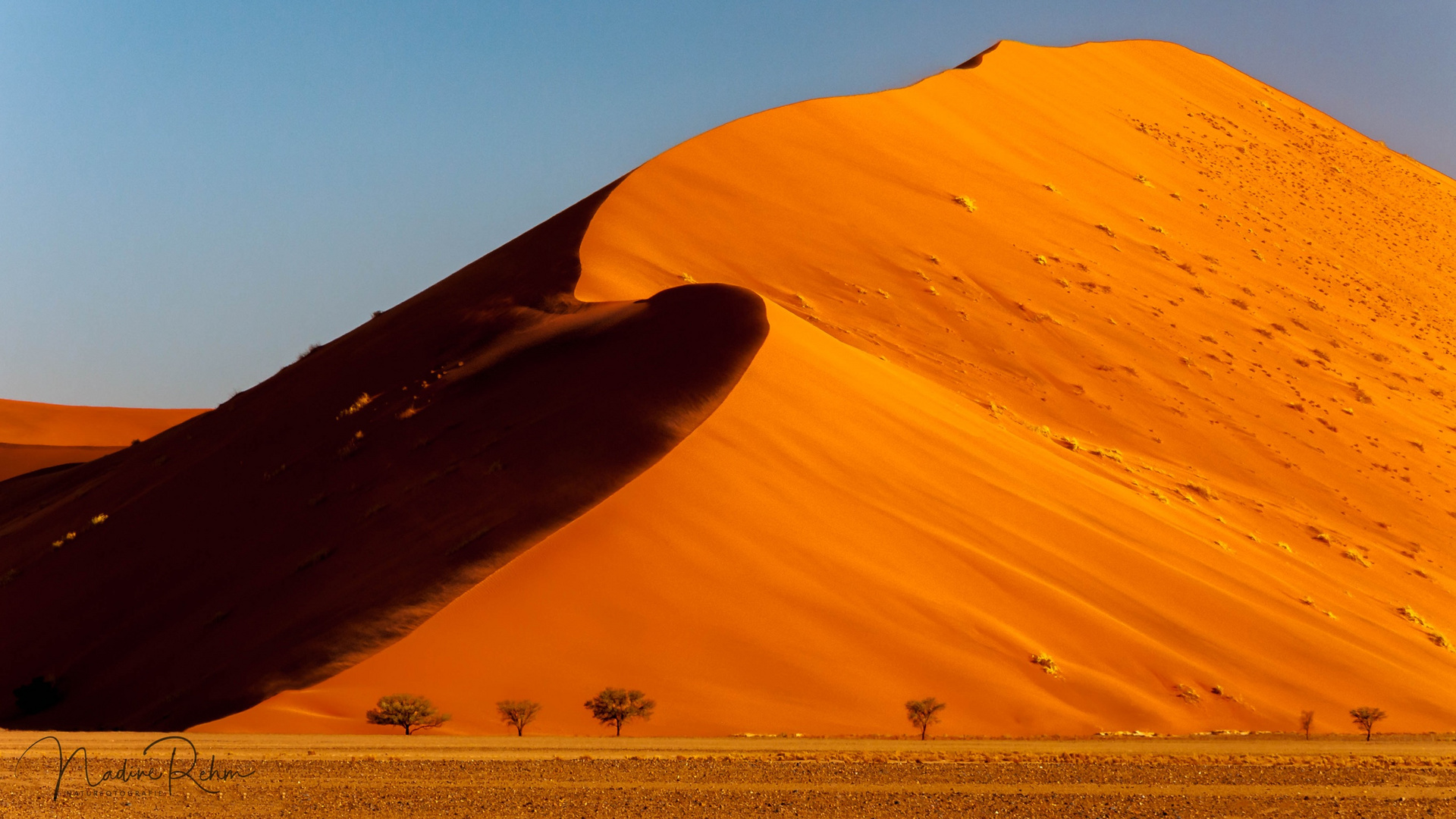 Im Herzen der Namib