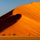 Im Herzen der Namib