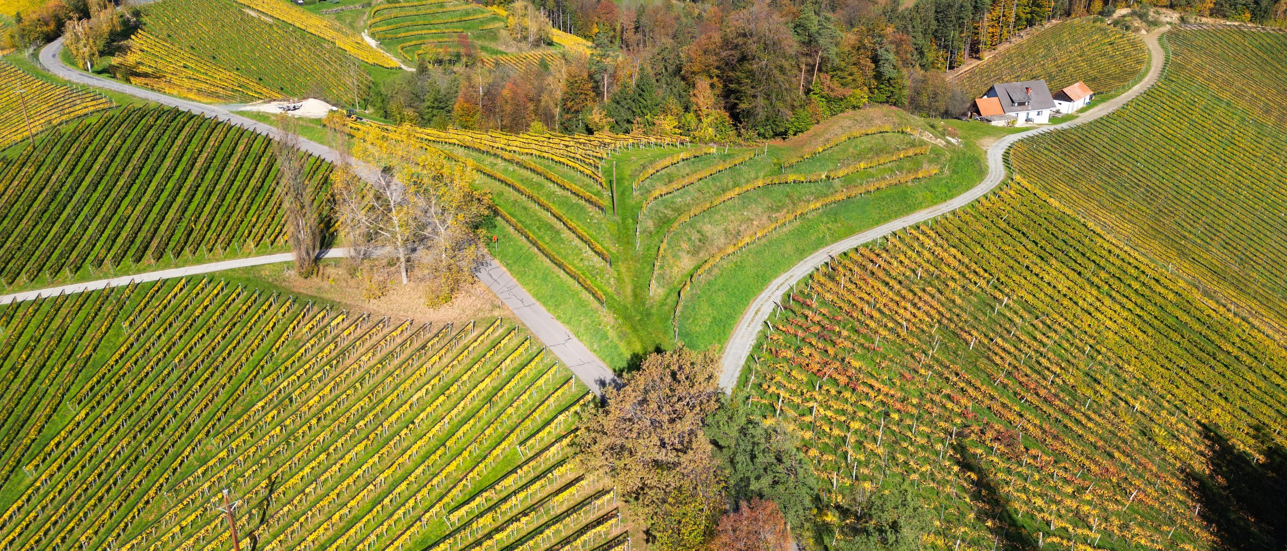 Im Herzen der Südsteiermark