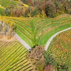 Im Herzen der Südsteiermark