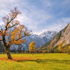 Im Herzen des Karwendels, der große Ahornboden