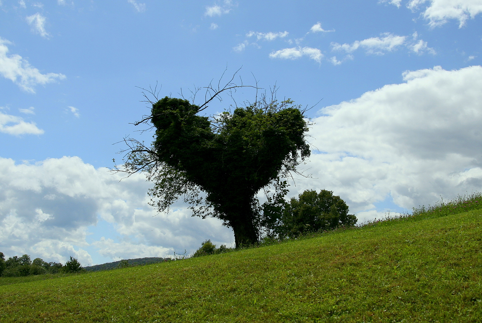 im Herzten der Natur