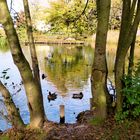 im Heußpark Lippstadt Süd