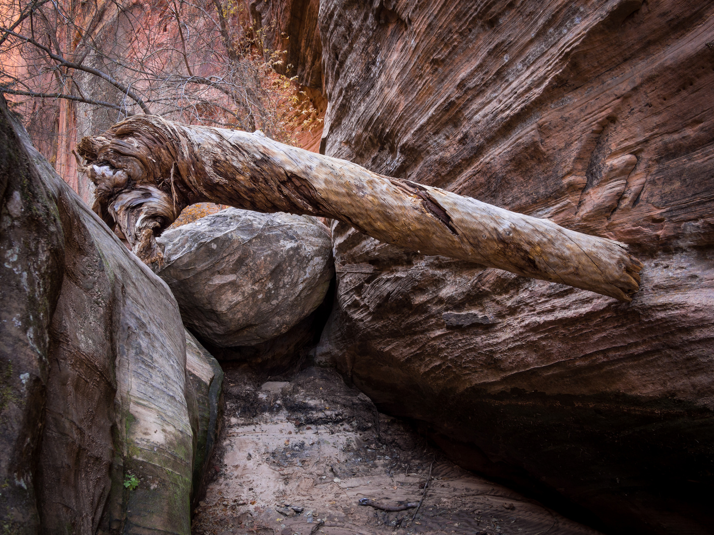 im Hidden Canyon (Zion National Park)