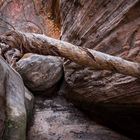 im Hidden Canyon (Zion National Park)