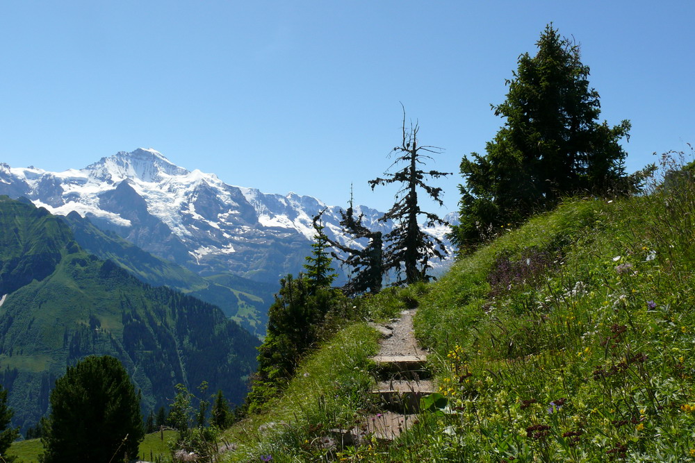 Im Himmel auf Erden - Schynige Platte