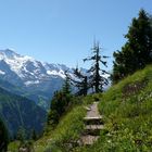 Im Himmel auf Erden - Schynige Platte