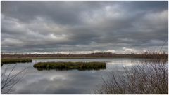 Im Himmelmoor