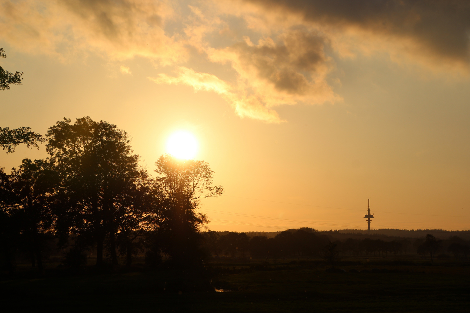 im Hintergrund der Fernsehturm am Wald Westerberg ...