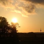 im Hintergrund der Fernsehturm am Wald Westerberg ...