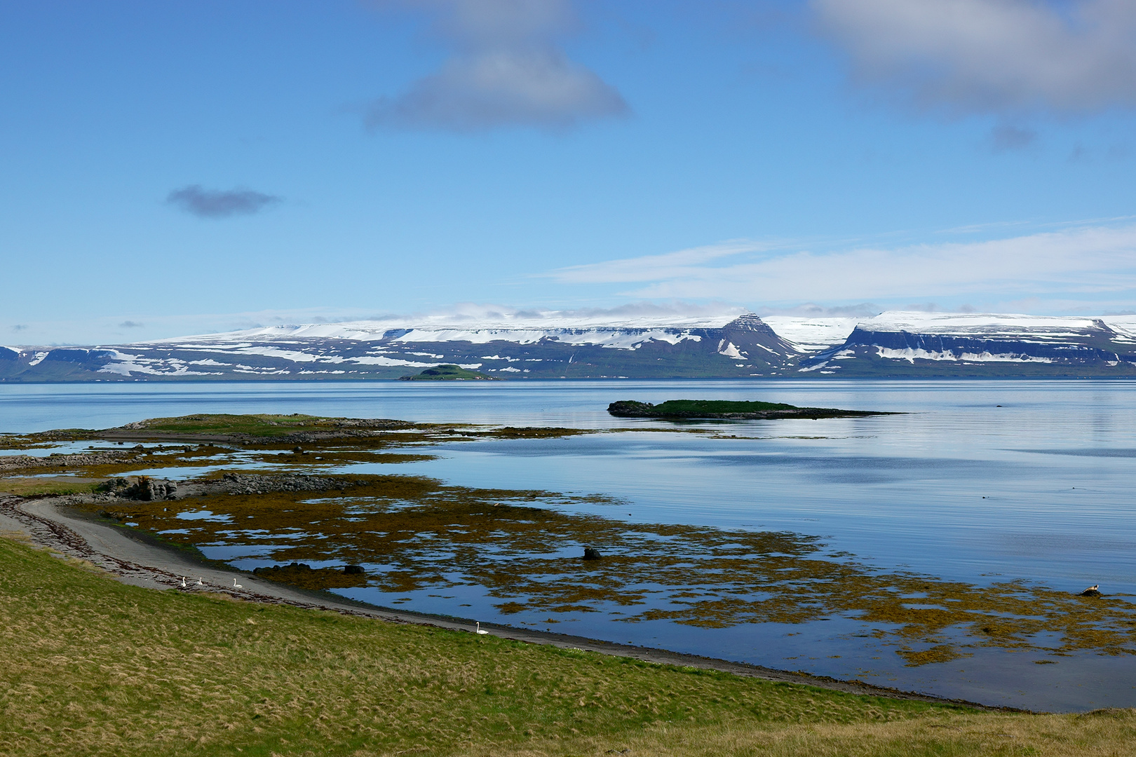 im Hintergrund der gewaltige Drangajökull 