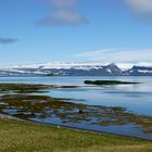 im Hintergrund der gewaltige Drangajökull 