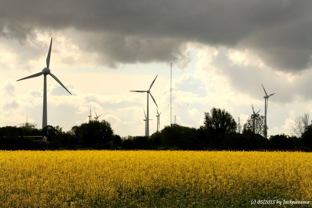 Im Hintergrund - Der große Windpark