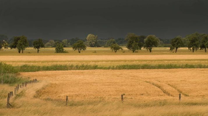 Im Hintergrund der Regen, lange erwartet!