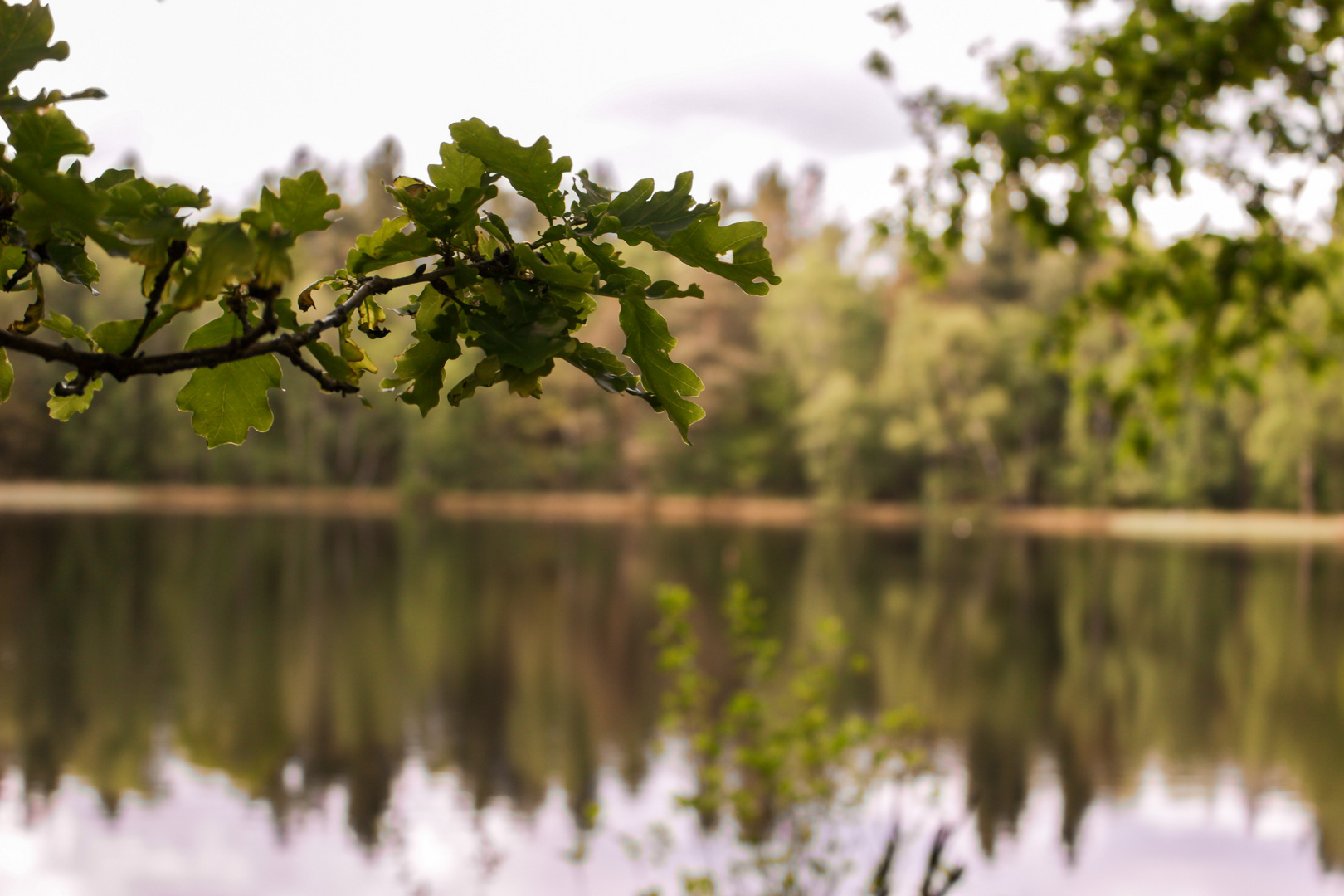 Im Hintergrund der Silbersee 