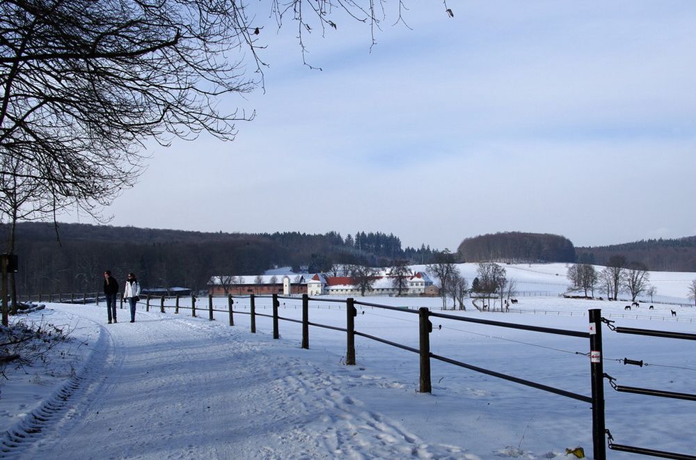 Im HIntergrund der St. Johanner Fohlenhof