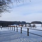 Im HIntergrund der St. Johanner Fohlenhof