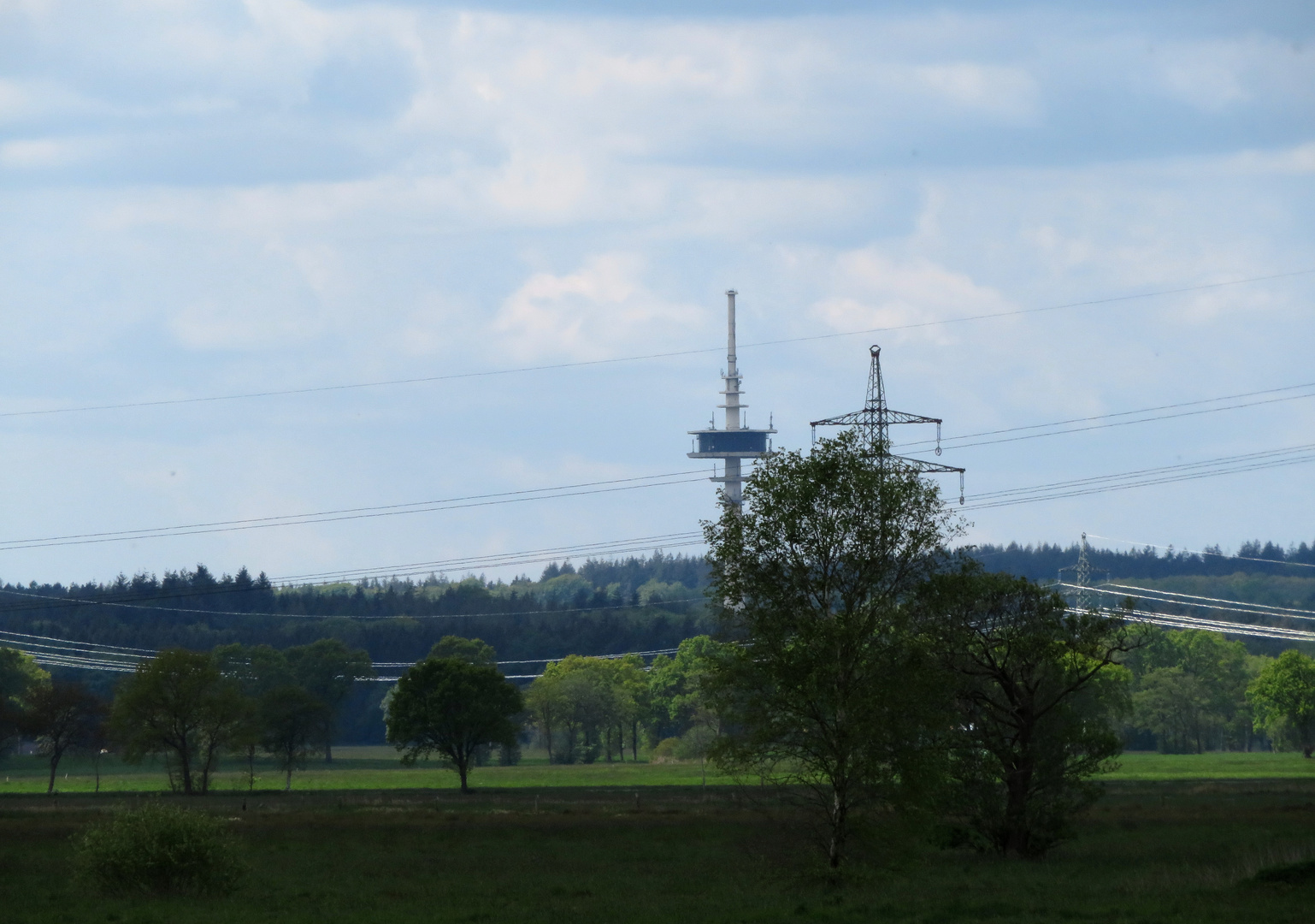 im Hintergrund der Wald Westerberg ...