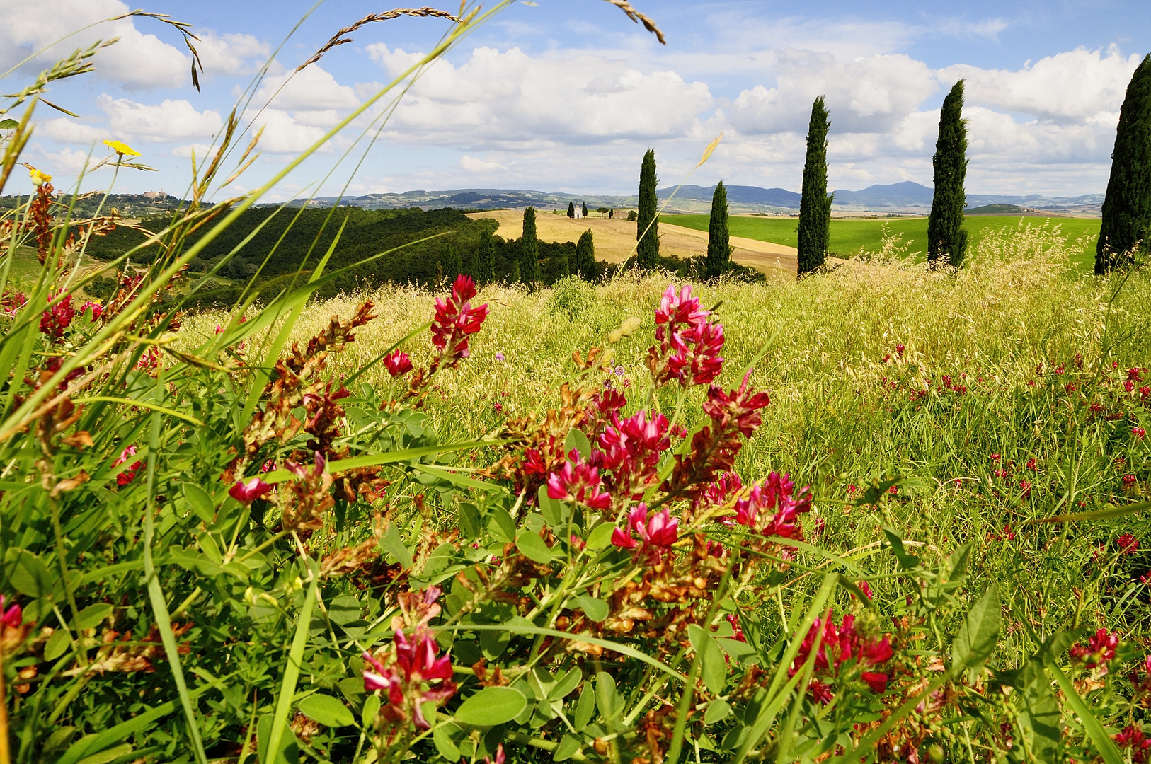 Im Hintergrund - Die kleine Kapelle Vitaleta bei Pienza