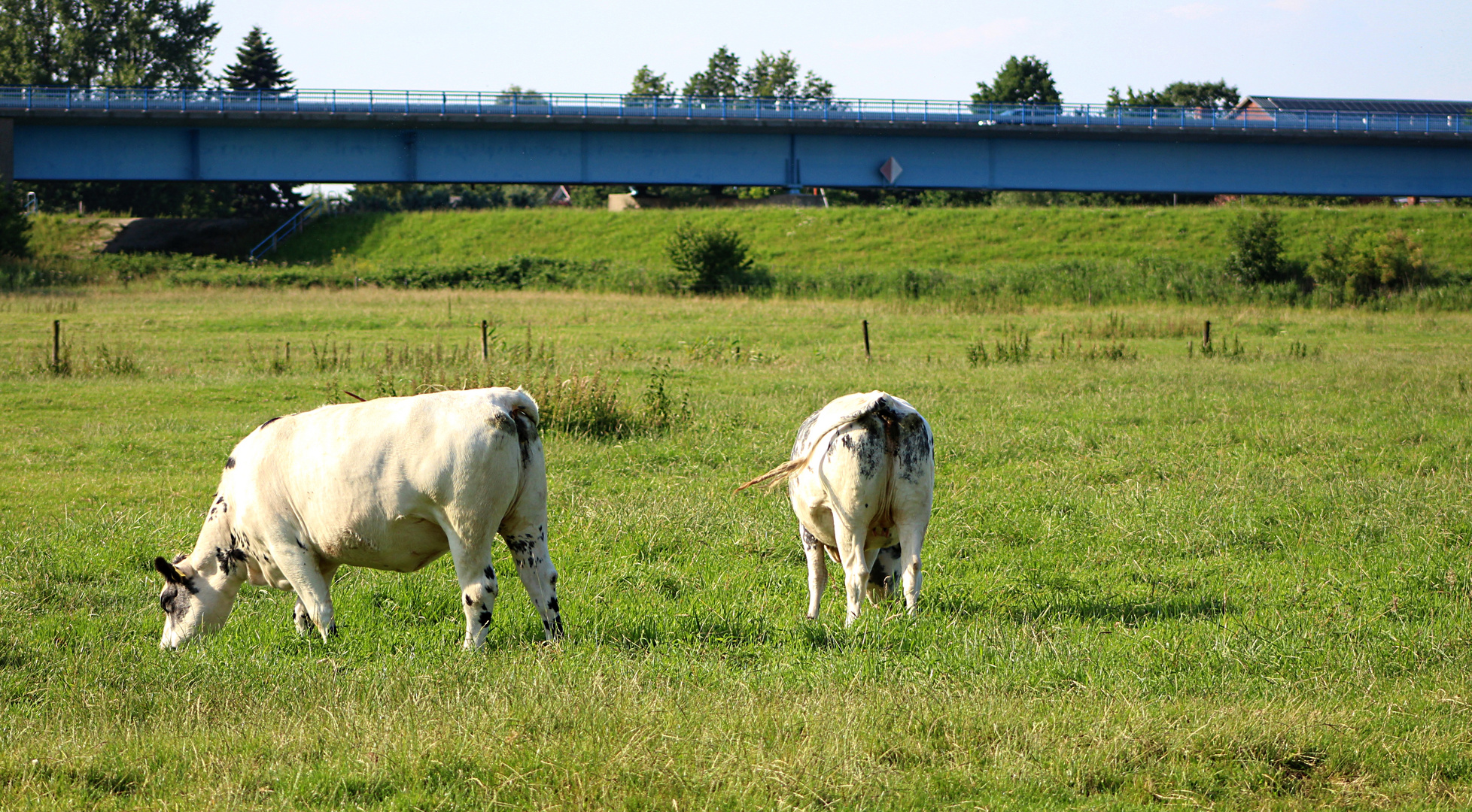 im Hintergrund die Ostebrücke ...