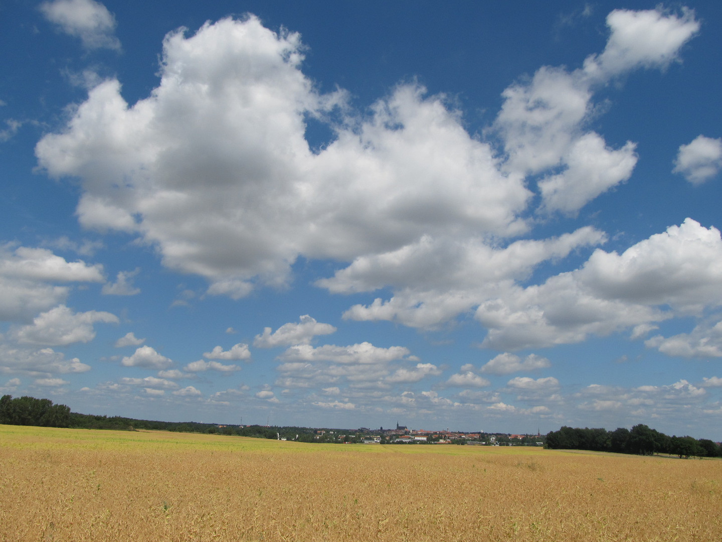 Im Hintergrund die Stadt "Bautzen"