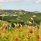 Im Hintergrund - Pienza