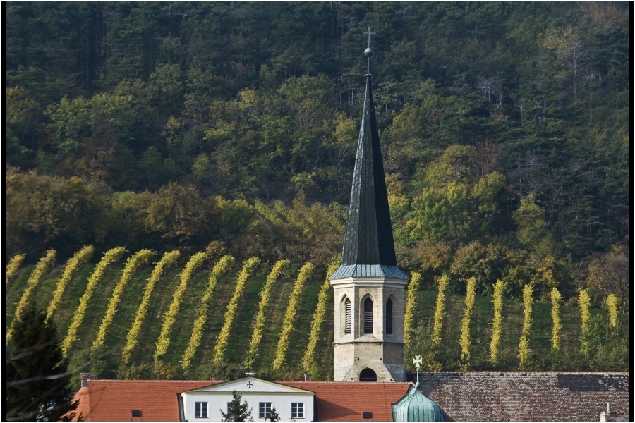 Im Hintergrund von Gumpoldskirchen ...