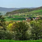 Im Hintergund der Hohenneuffen