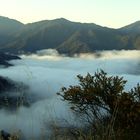 Im Hinterland des kalifornischen Küstengebirges