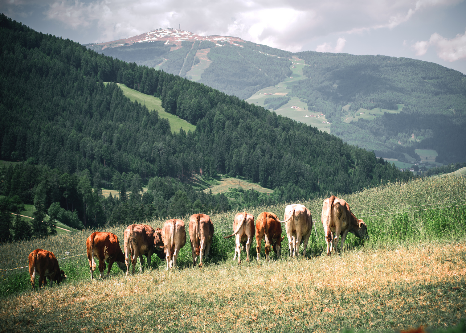 Im Hinter(n) land