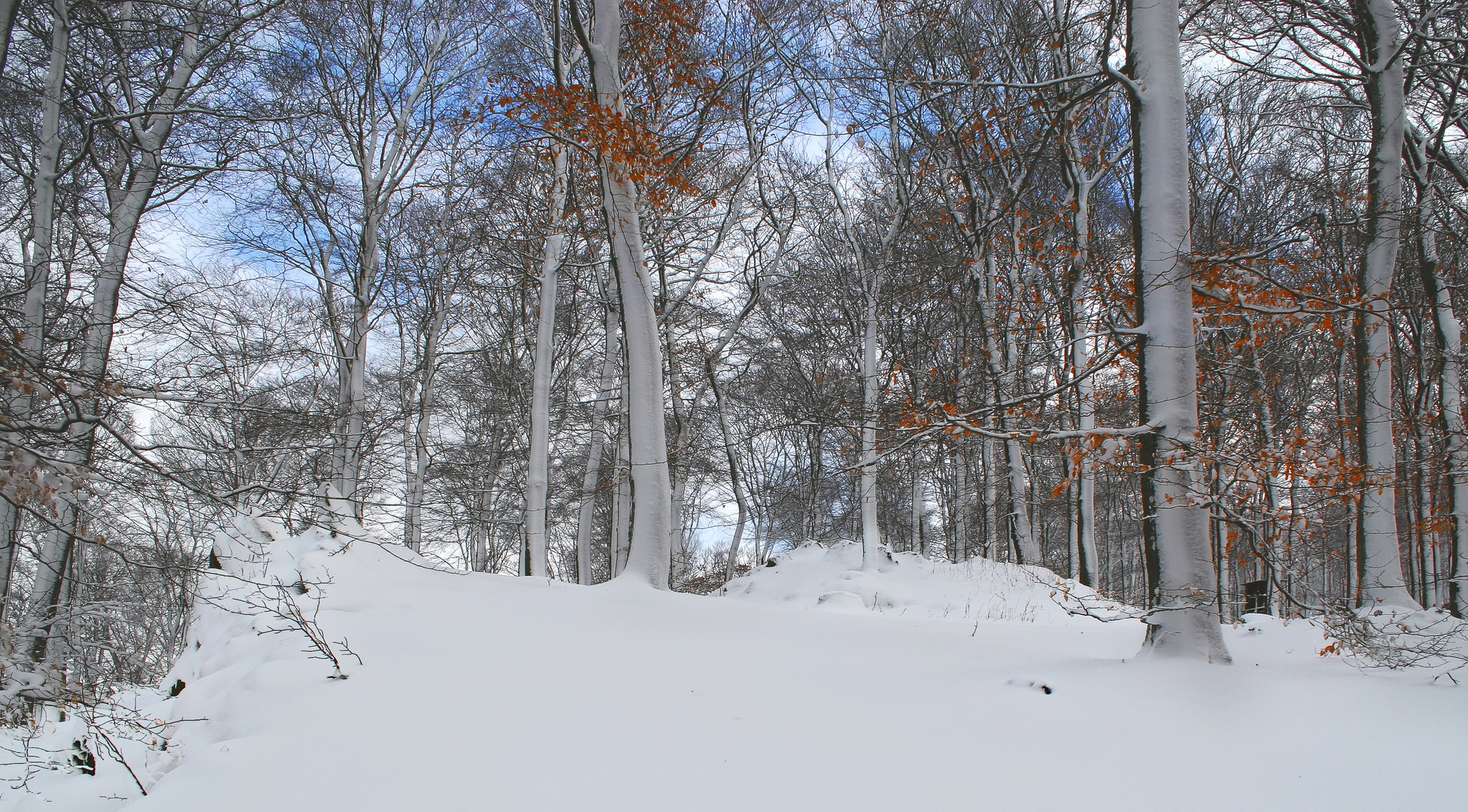 Im Hintertaunus bei Treisberg