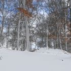 Im Hintertaunus bei Treisberg