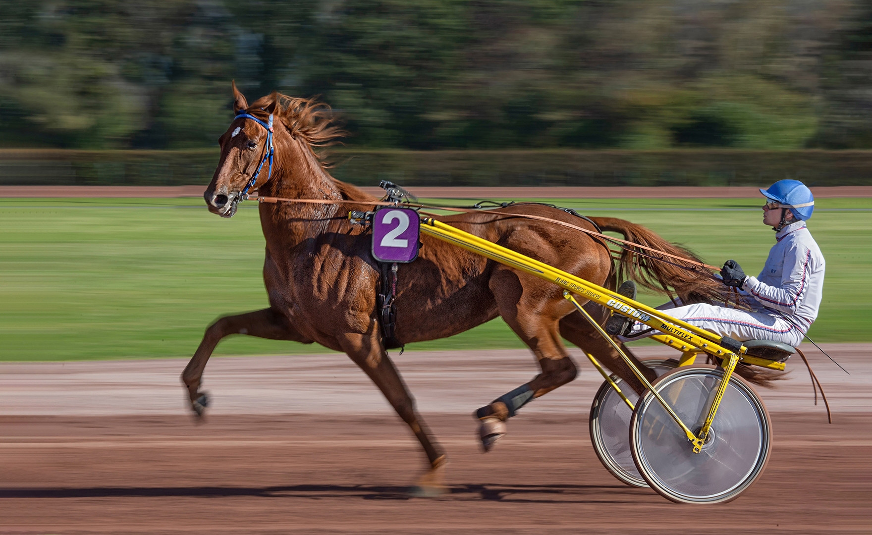 Im Hippodrom CABOURG