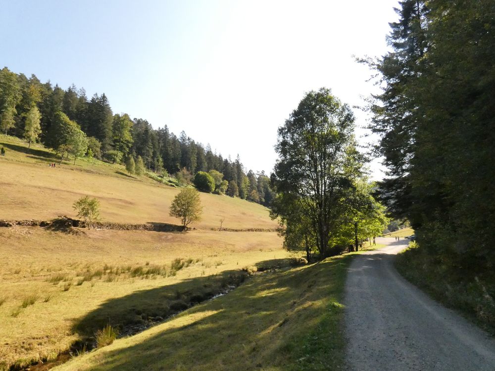 Im Hirschbachtal