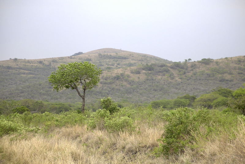 im Hluhluwe Nationalpark