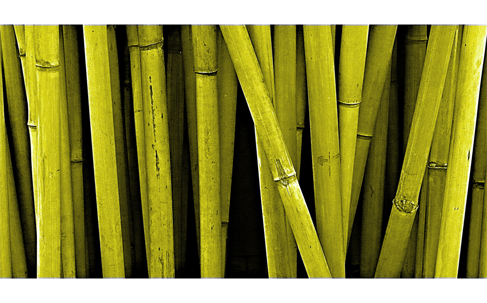 Im Hobbymarkt XVI, Bambus