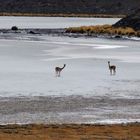 Im Hochland Boliviens