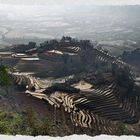 Im Hochland Vietnams bei Sapa