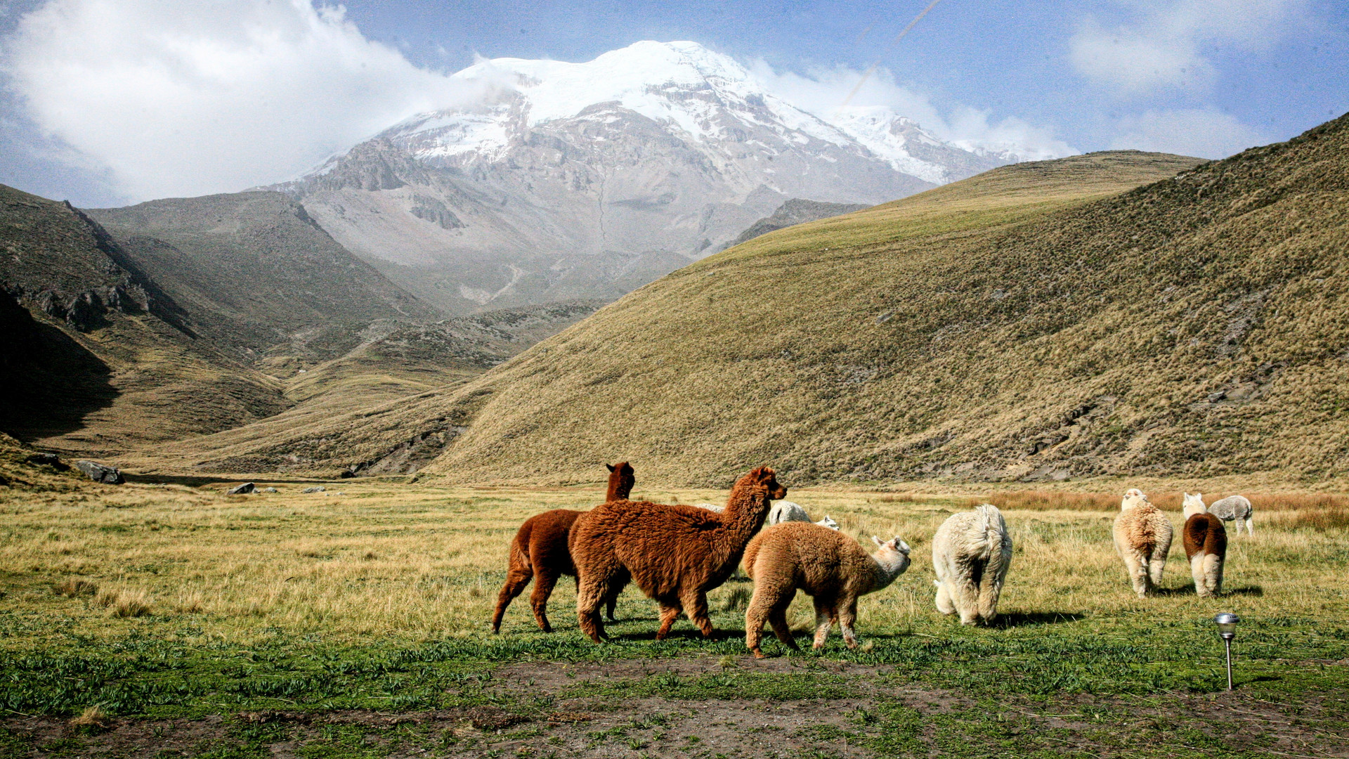 Im Hochland von Ecuador