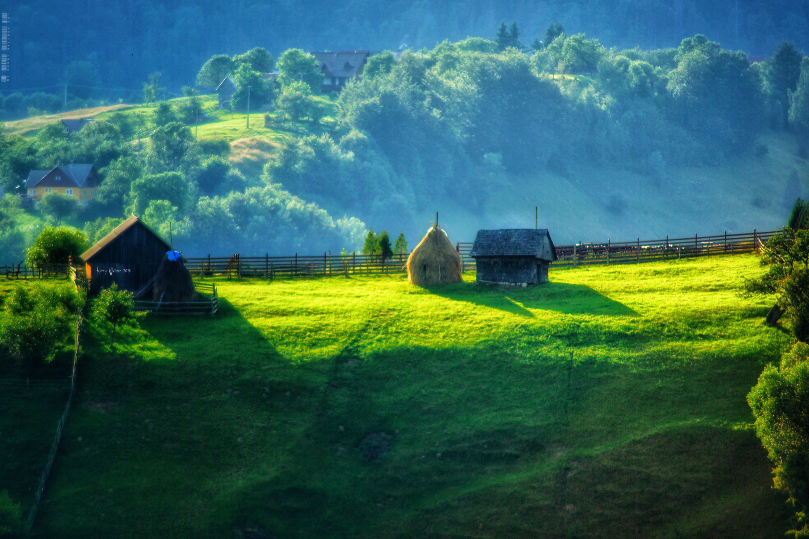 Im Hochland Von Magura-Brasov