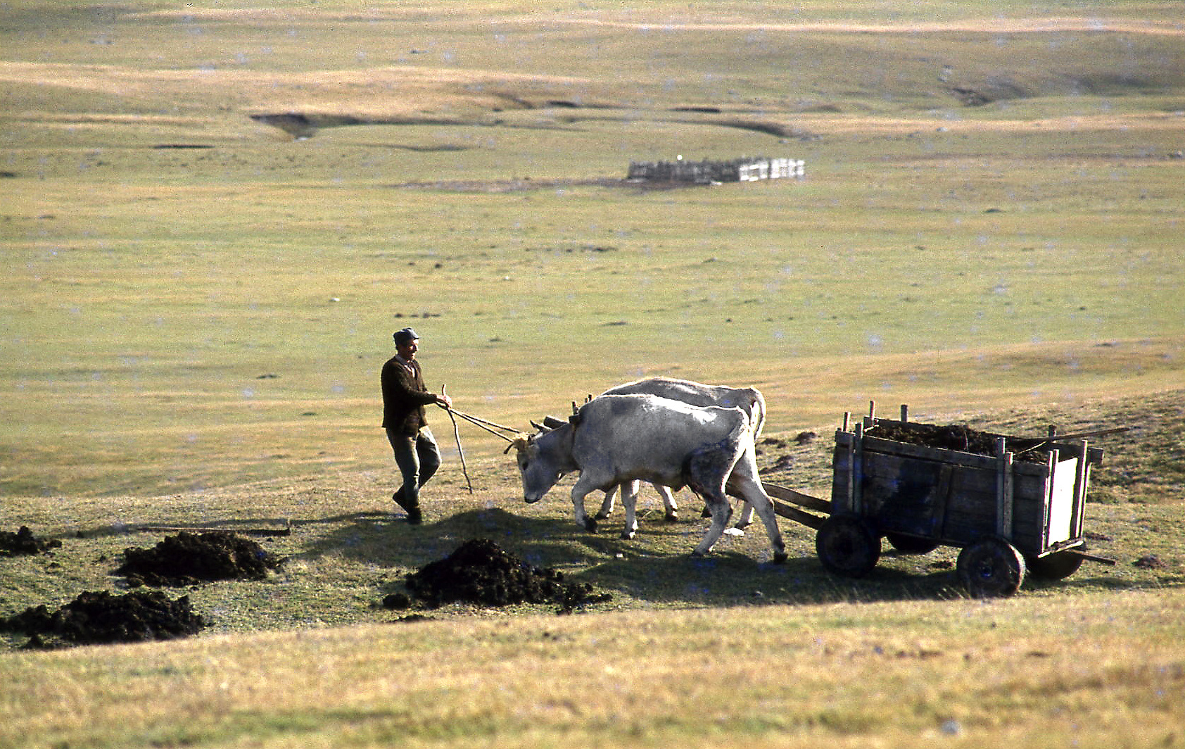 Im Hochland von Montenegro