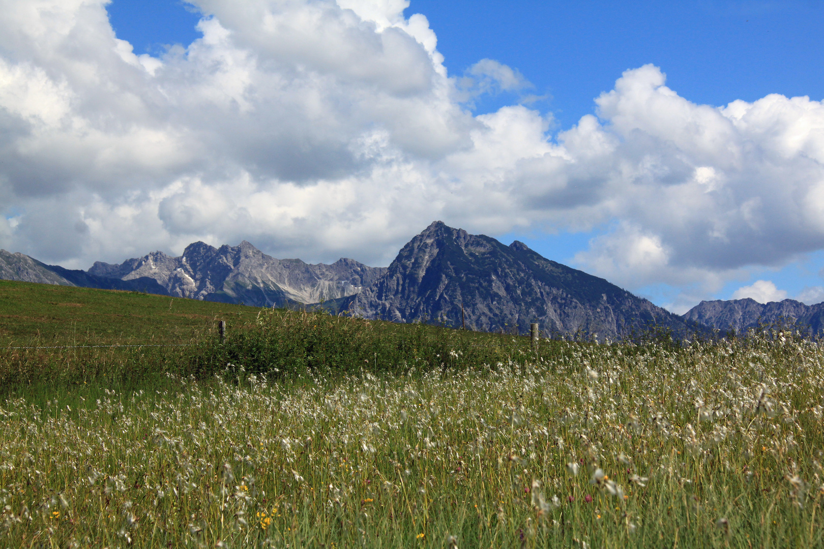 Im Hochmoor