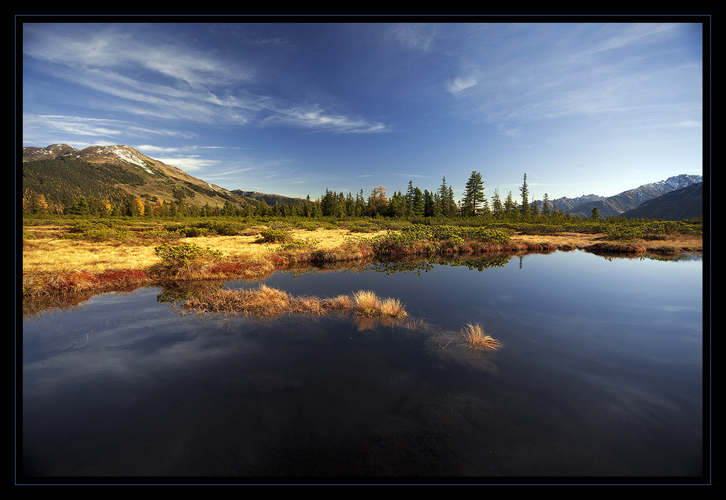 Im Hochmoor