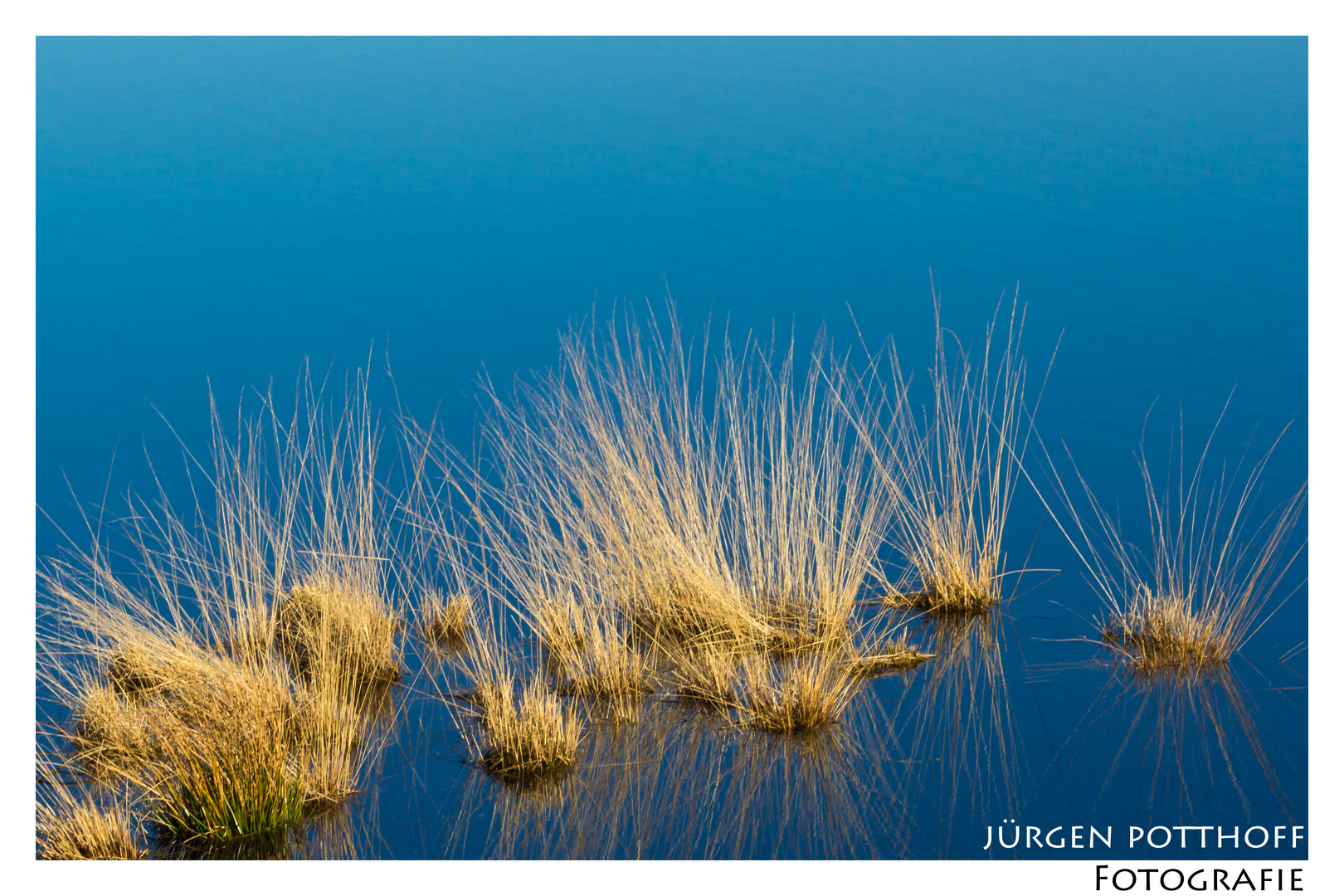 Im Hochmoor