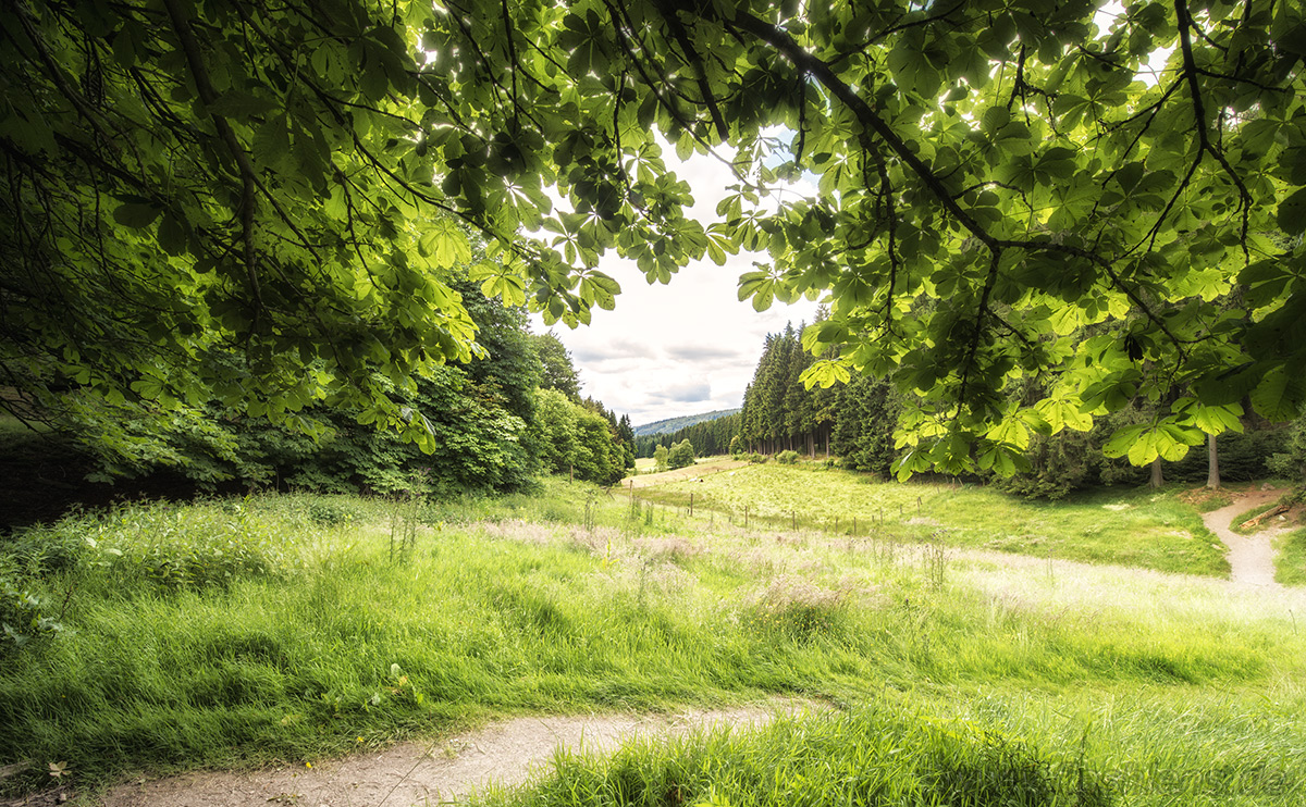 Im Hochsauerland