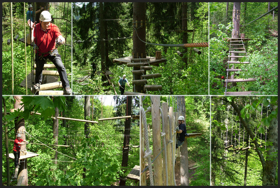 Im Hochseilgarten