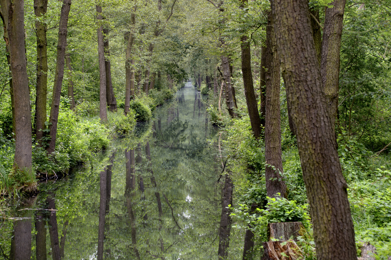 Im Hochwald