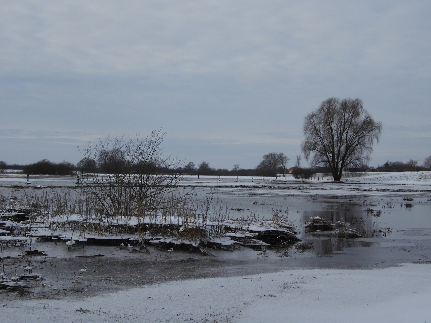 Im Hochwasser geboren