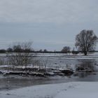 Im Hochwasser geboren