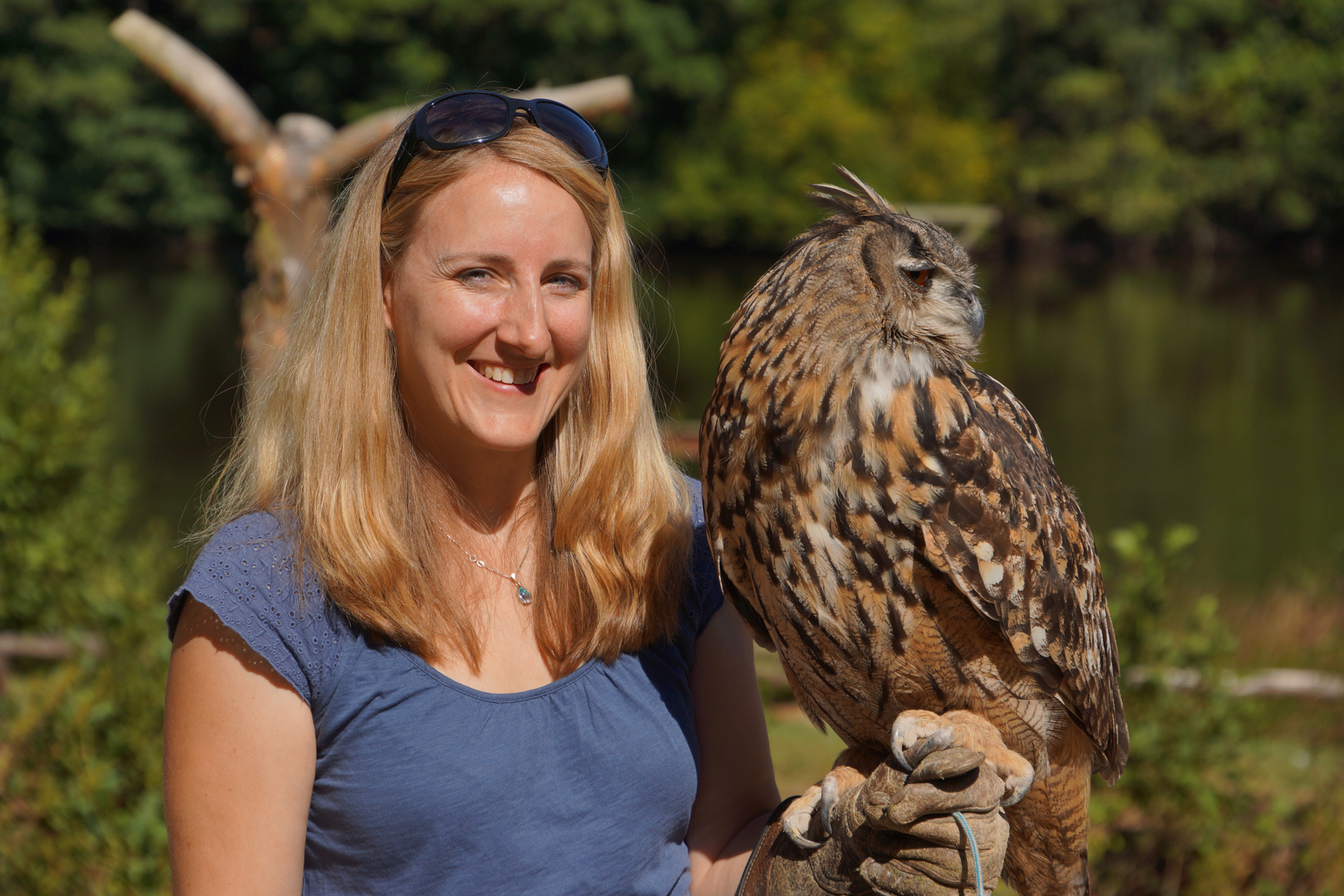 Im Hochwildpark Rheinböllen letzten Samstag  (2) ...